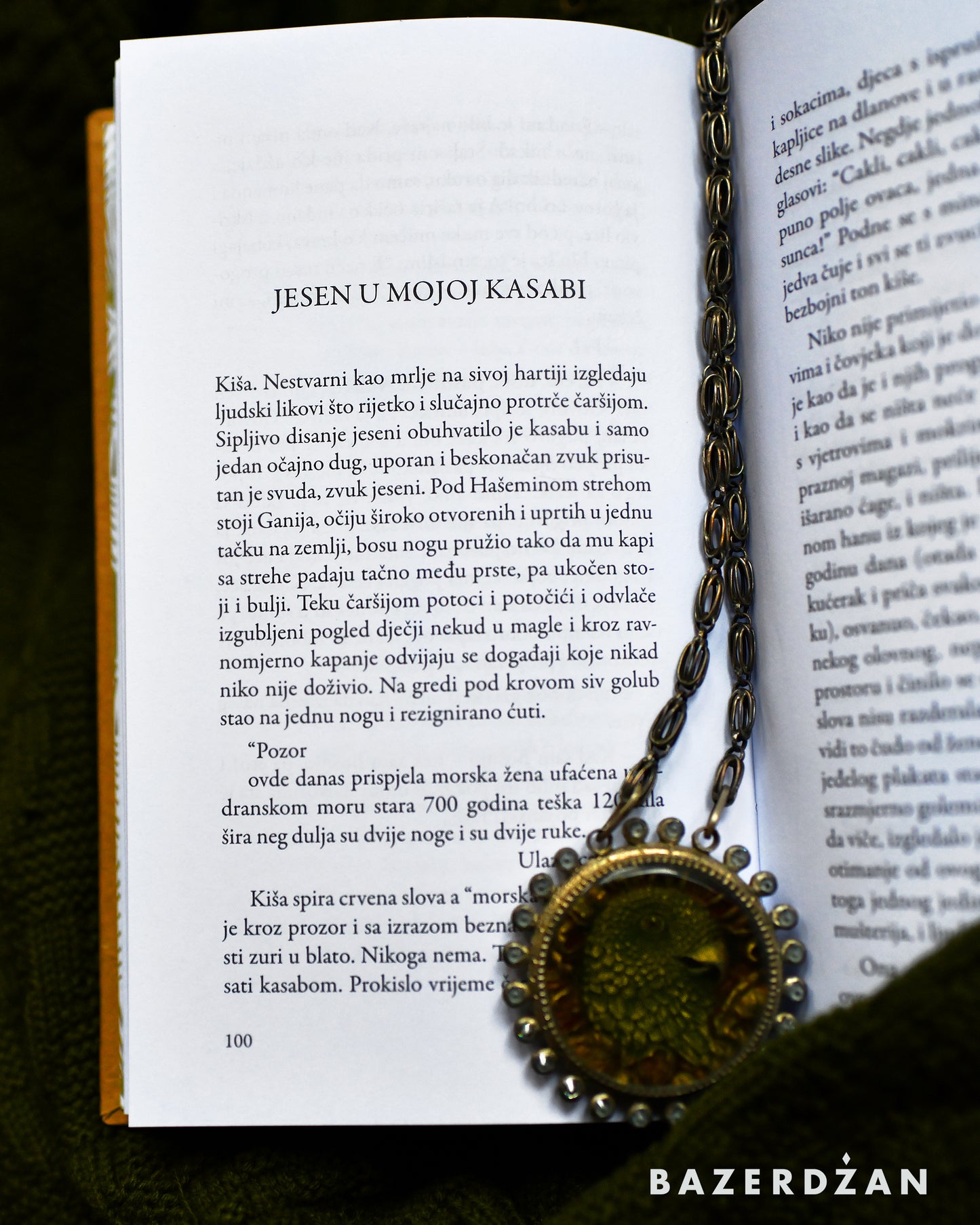 Knjiga "Prosanjane jeseni" Zija Dizdarević