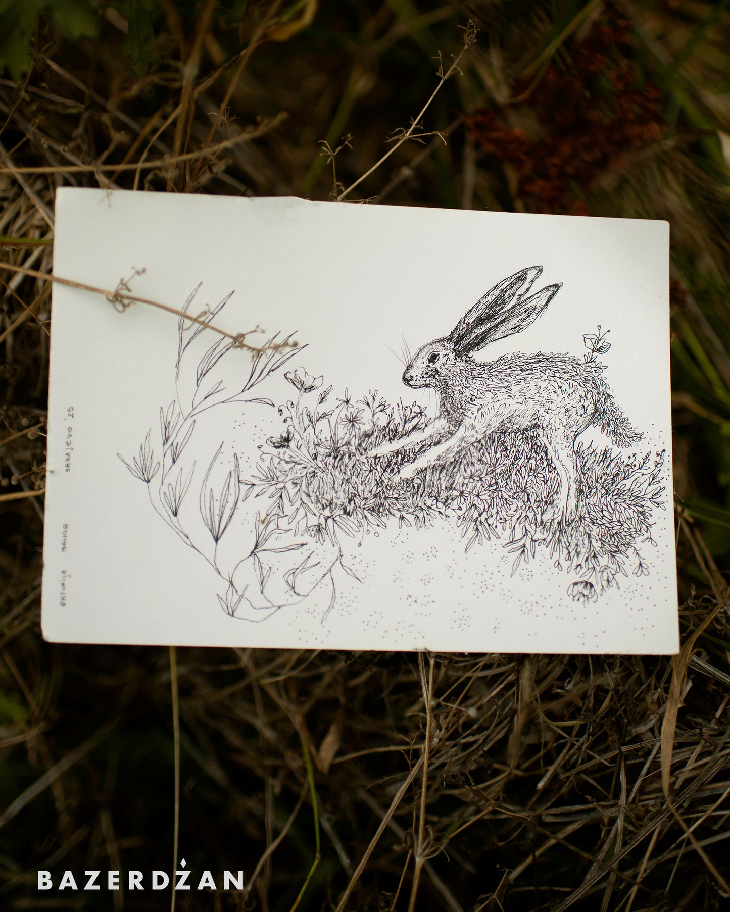 Drawing Inspired by Nature