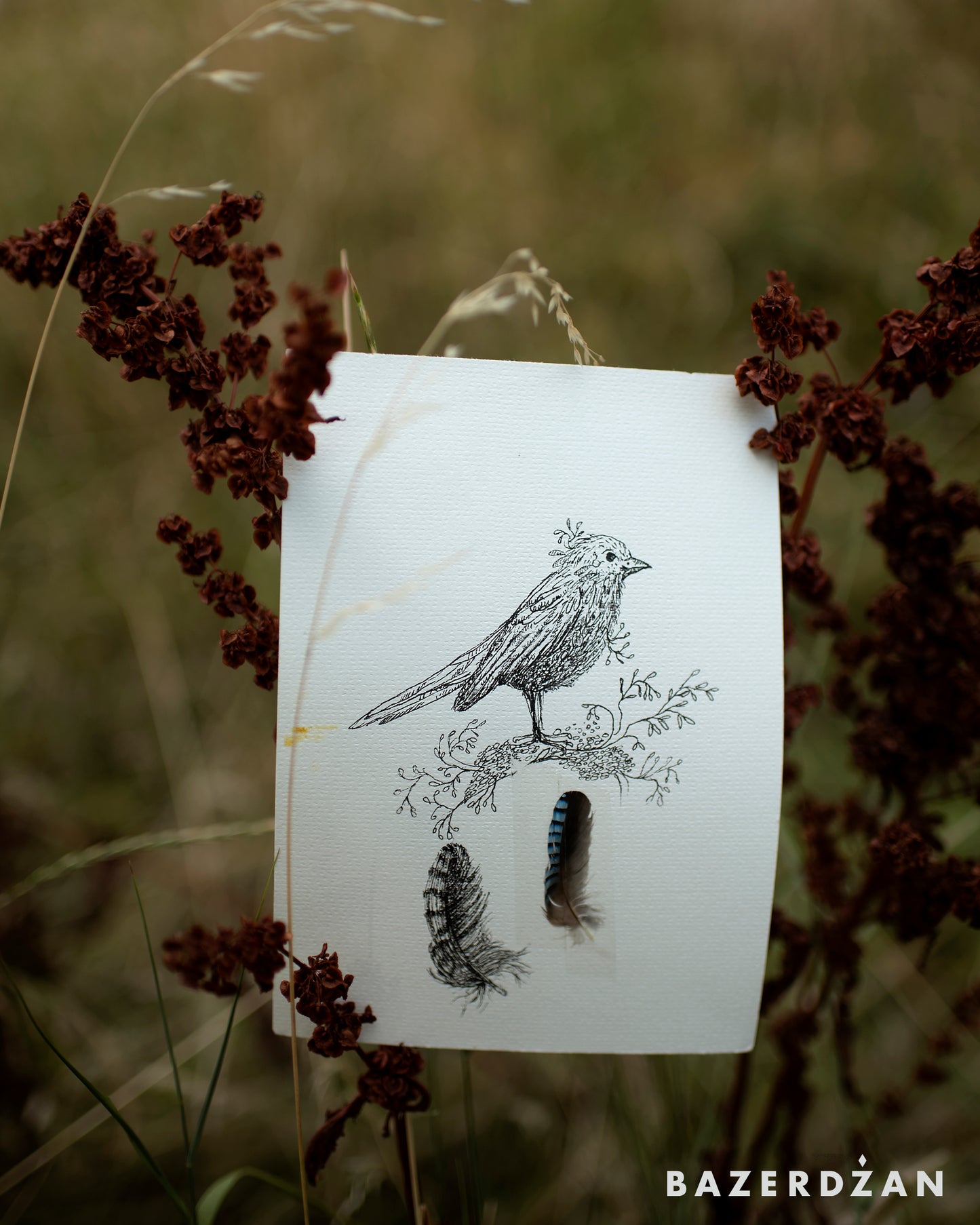 Drawing Inspired by Nature