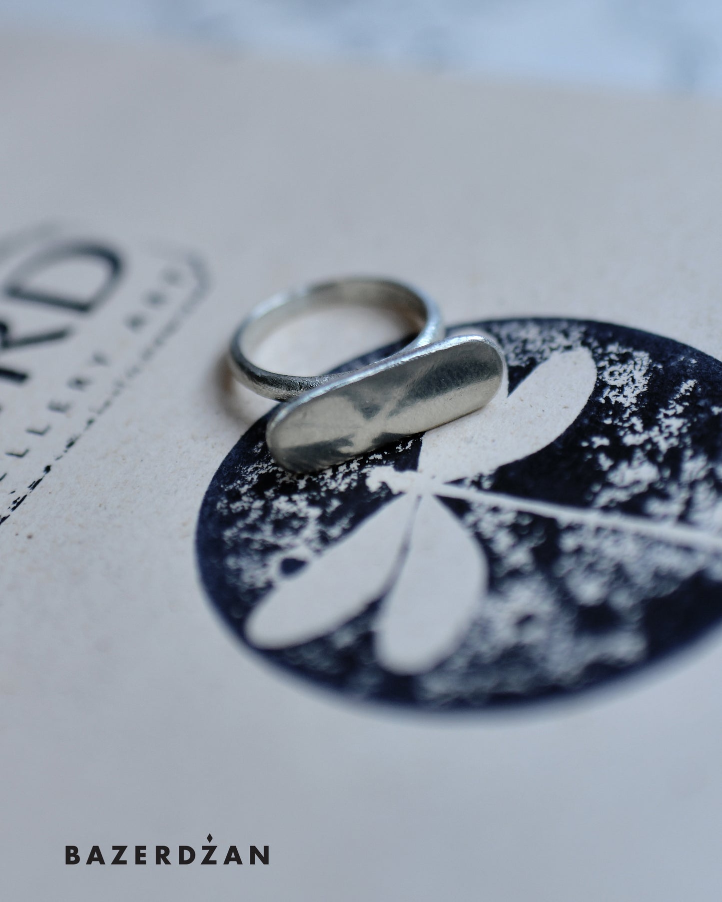 Silver Ring Simple 1 by Elird