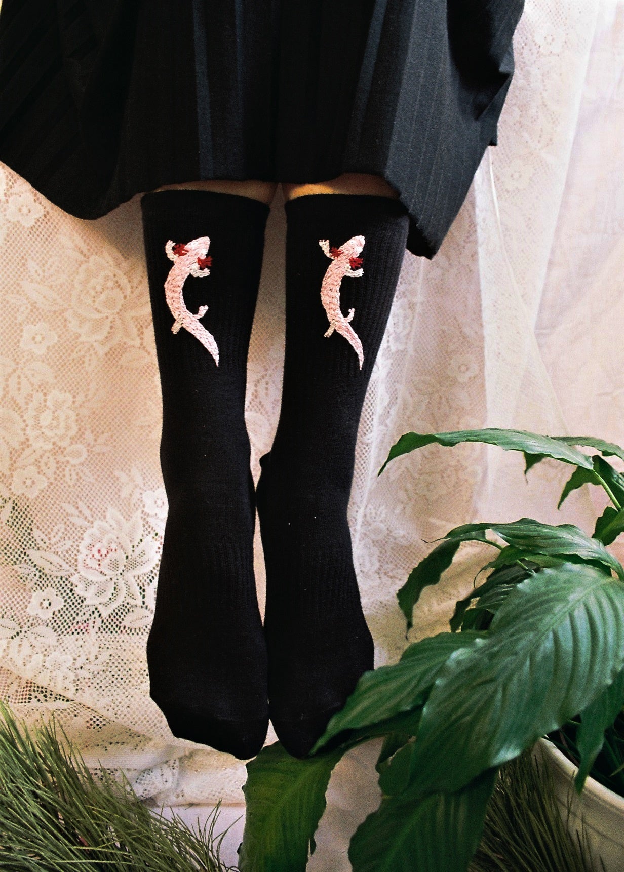 Socks With Hand Embroidered Motifs of Endangered and Edemic Species by Potka - Bazerdzan