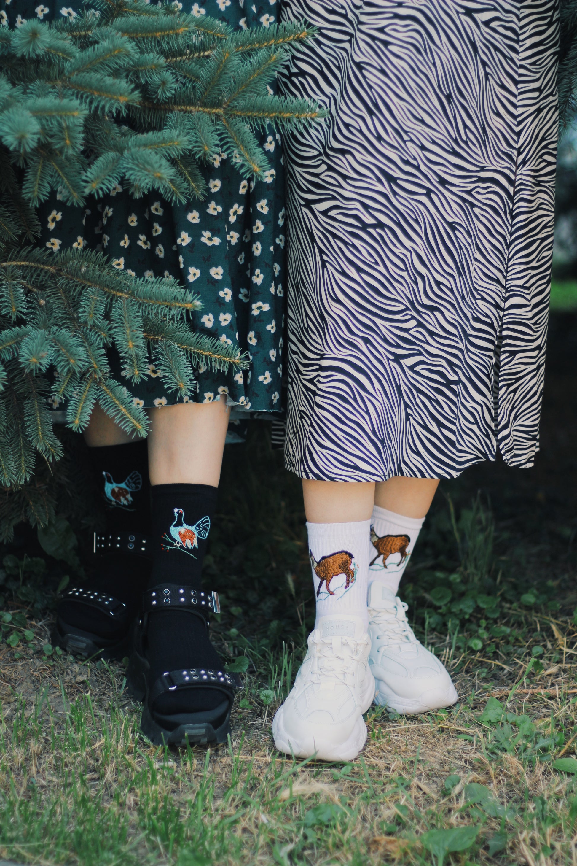 Socks With Hand Embroidered Motifs of Endangered and Edemic Species by Potka - Bazerdzan